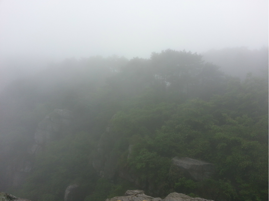 wKgB3FG9OoaAcqUvAAXOZnEEVbA64.jpeg?imageView2%2F2%2Fw%2F600%2Fh%2F600%2Fq%2F90