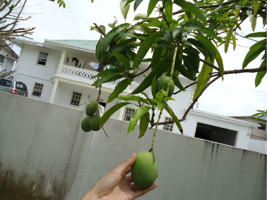 wKgB3FHuz7OAbqeaAALtdeChAjU88.jpeg?imageView2%2F2%2Fw%2F600%2Fh%2F600%2Fq%2F90