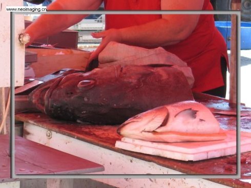 游世界·2009.07 马耳他· 感受地中海的体温03,马耳