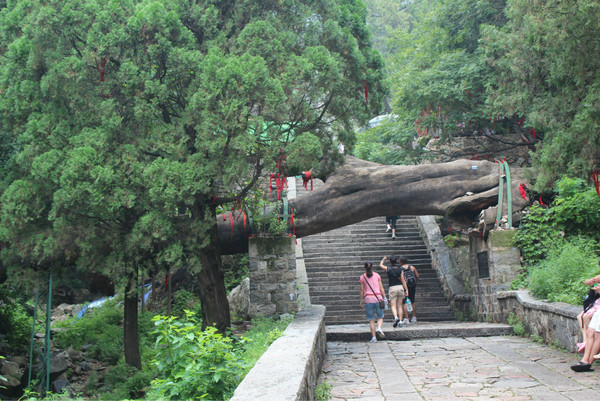 东岳山游玩攻略,东岳山游玩攻略一日游