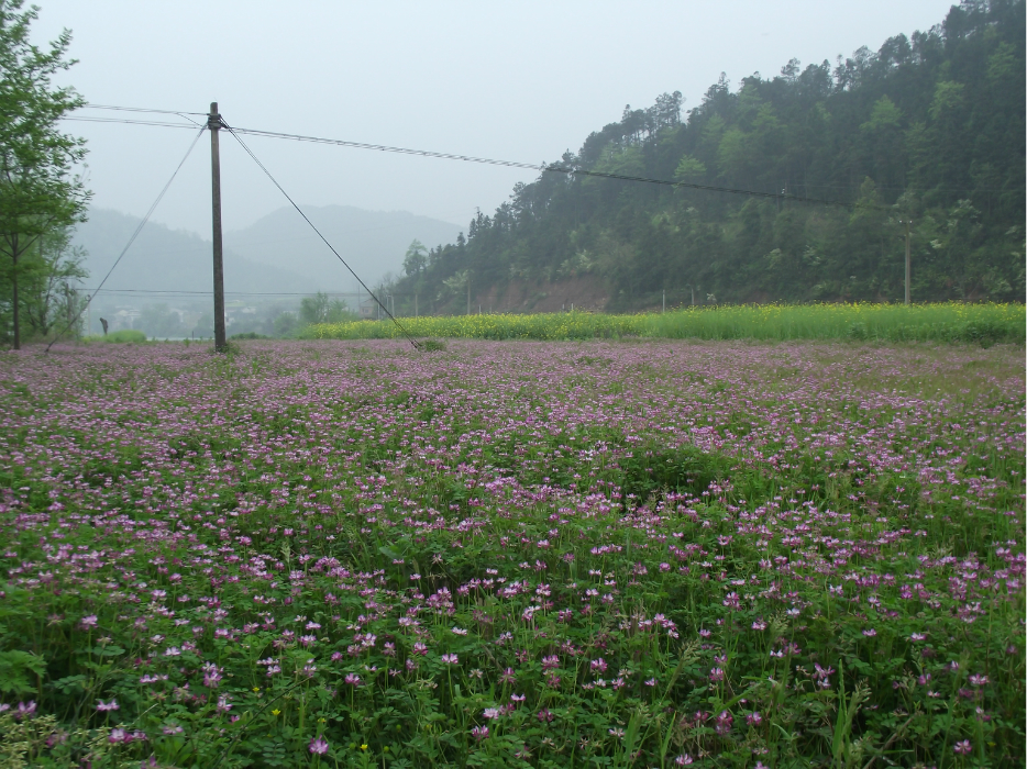 wKgB3FFgSM6AR4vZAA5K89jJySQ70.jpeg?imageView2%2F2%2Fw%2F600%2Fq%2F50