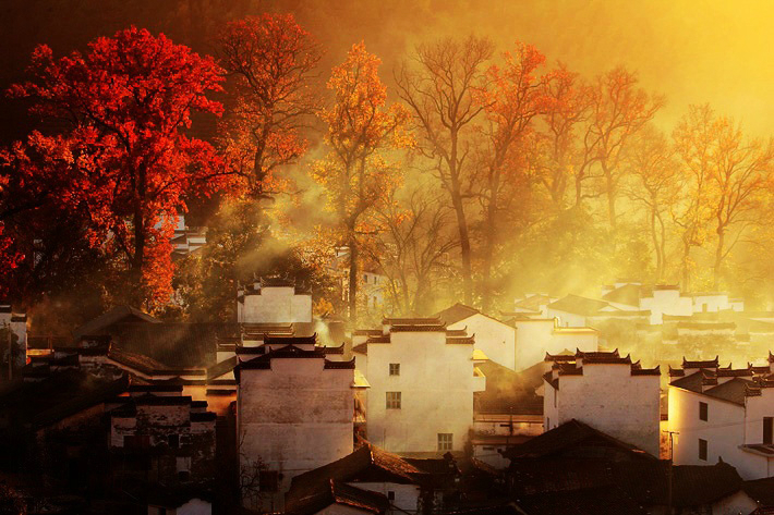 中国最美的秋景都在这里了，你打算去哪里？