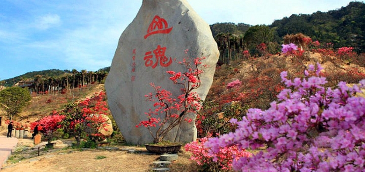 岳西映山红大观园攻略,映山红大观园门票_地址,映山红