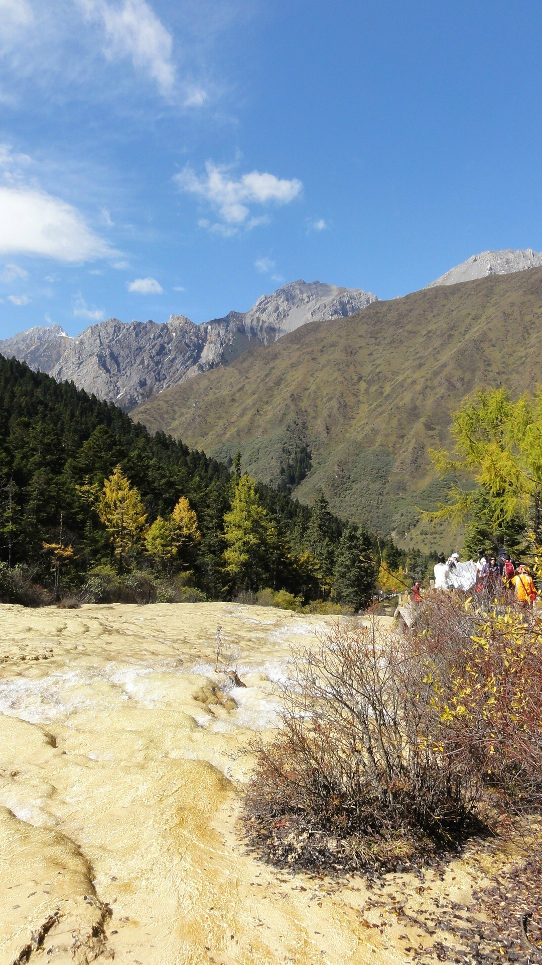 迭部多少人口_迭部秋景(2)