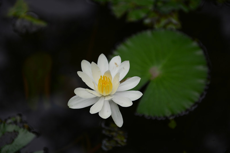 wKgB3FEJPSyAK84HAAIYhMyPezA67.jpeg?imageView2%2F2%2Fw%2F600%2Fh%2F600%2Fq%2F90