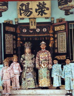 峇峇人人口