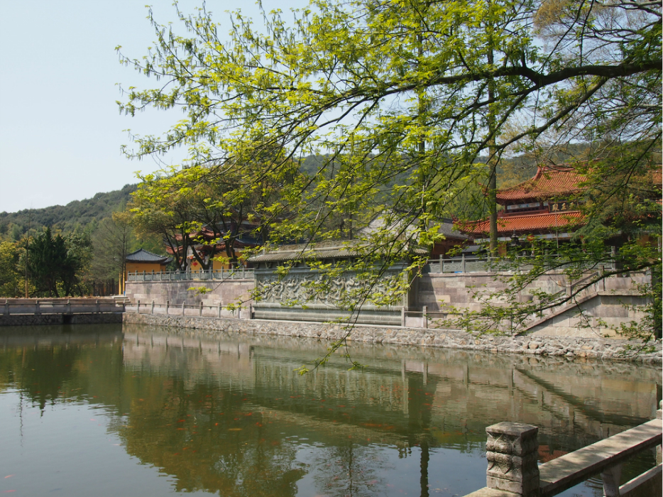 慈溪也有好地方(鸣鹤,五磊山)图片26,慈溪旅游景点,风景名胜 - 马蜂窝