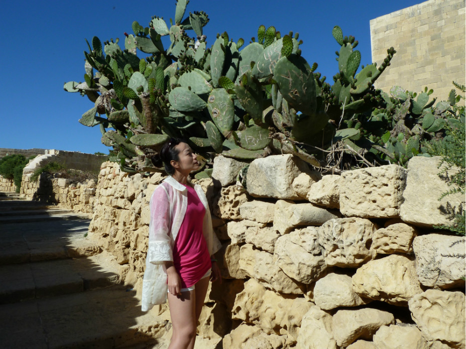 2013年5月马耳他的‘风之旅’,马耳他自助游攻略