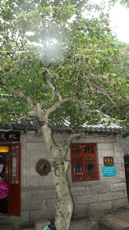 名什么什么迹的成语_成语故事简笔画(2)
