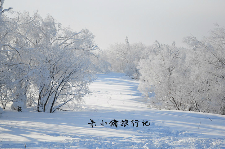 wKgB3FGvO9yAJhAHAASl5Nj2vZ467.jpeg?imageView2%2F2%2Fw%2F600%2Fh%2F600%2Fq%2F90