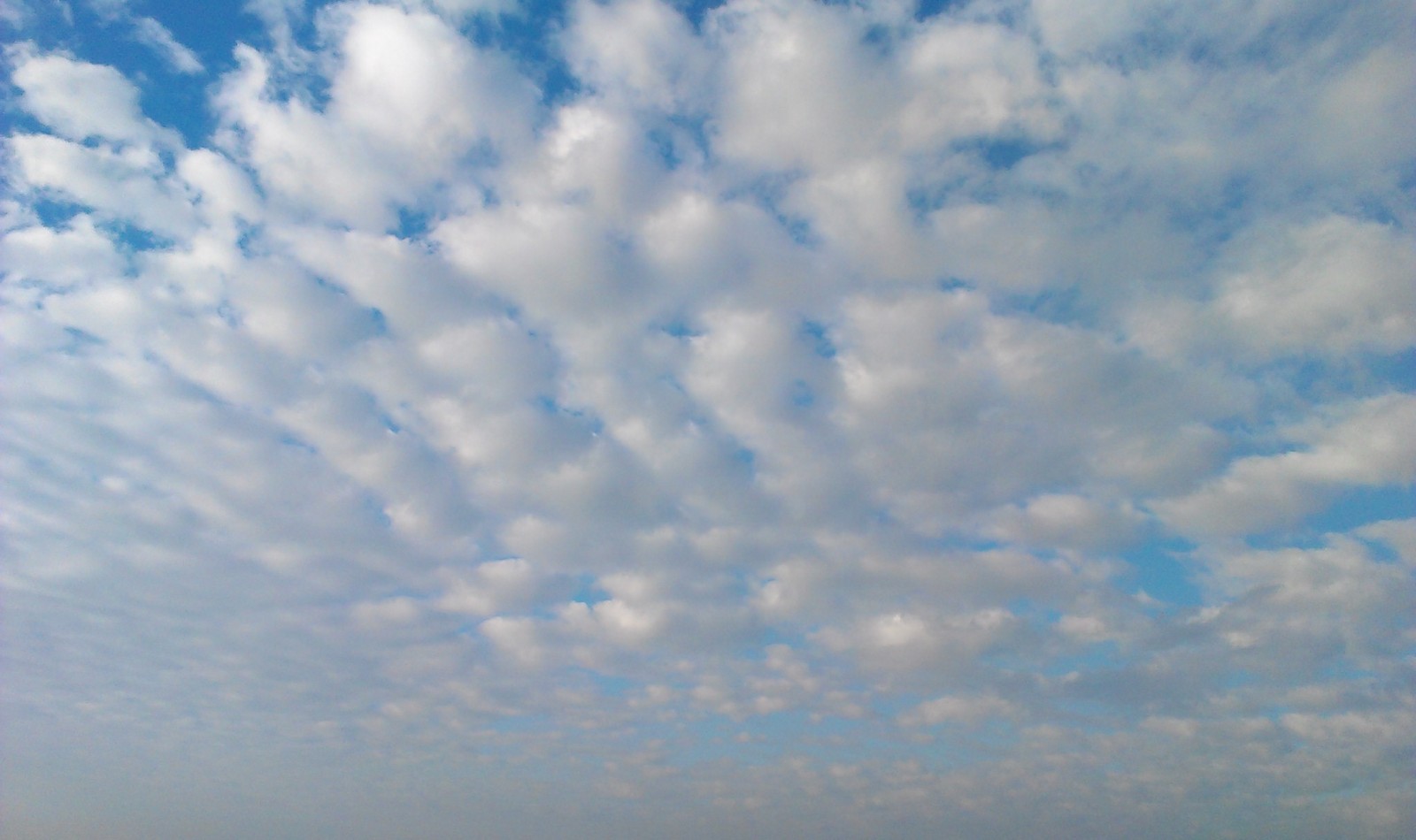 wKgB3FDtk6WAT3FzAAK6w9sTGKI52.jpeg?imageView2%2F2%2Fw%2F600%2Fh%2F600%2Fq%2F90