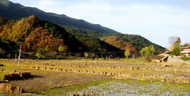 巴山秋池