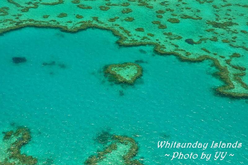 【大堡礁在哪里】澳洲大堡礁在哪里，澳洲大堡礁在哪个城市