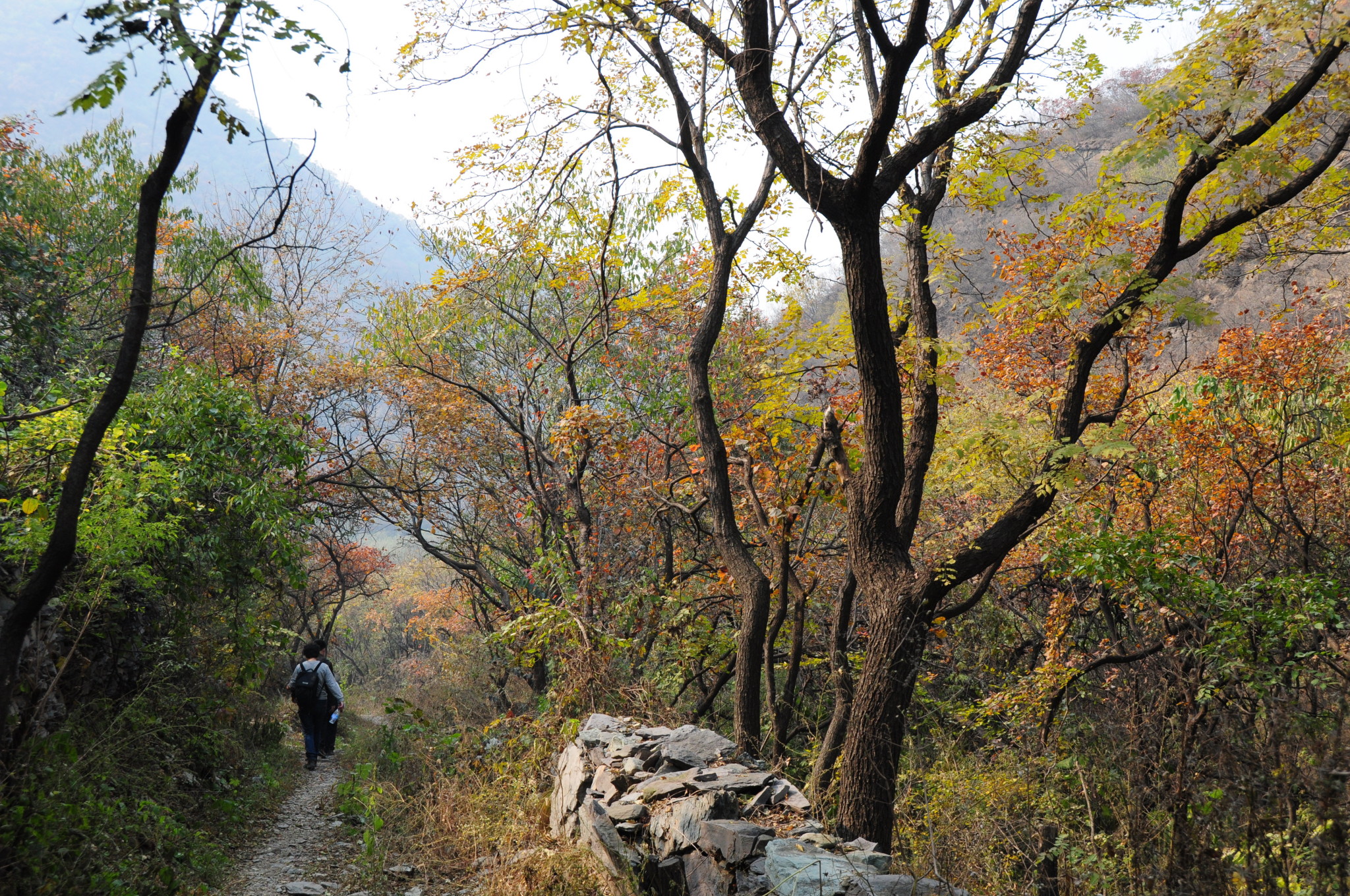 【图片】香山古道-红叶节里的空寂香山