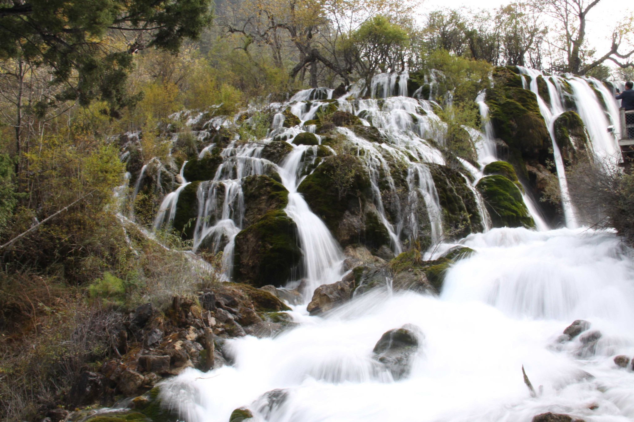 四川省旅游 九寨沟旅游攻略【川渝九黄摄影攻略】九寨水黄龙山,雪花