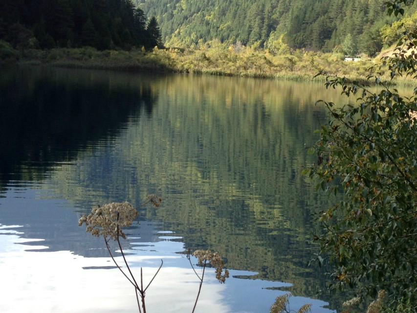 广元有多少人口_广元龙山镇有多少人(3)