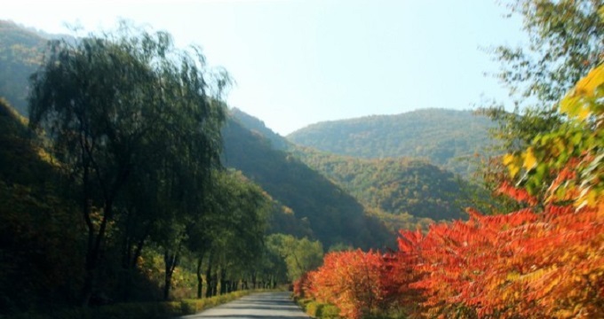 邹平旅游,邹平自助游,2021邹平旅游攻略_景点_行程