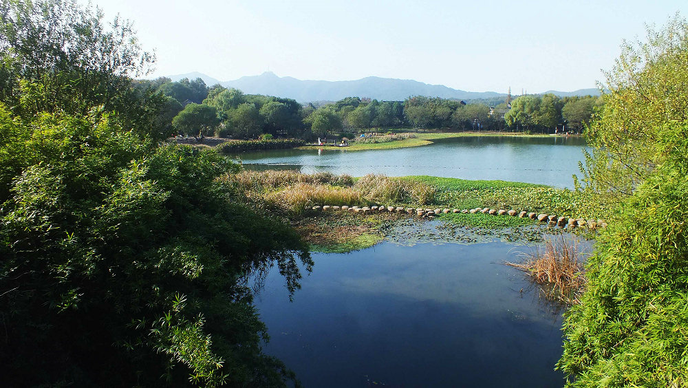 茅家埠景区         