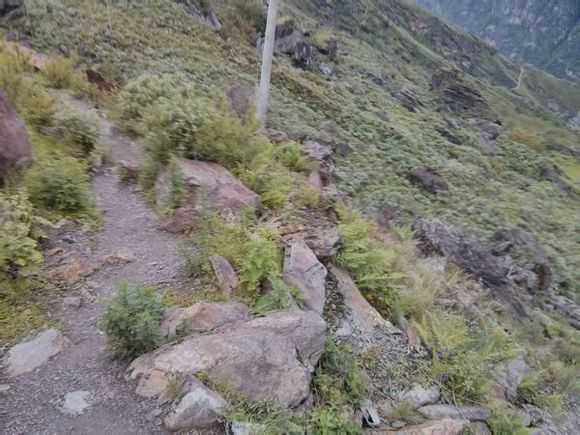 虎跳峡游玩攻略图,虎跳峡游玩攻略图片