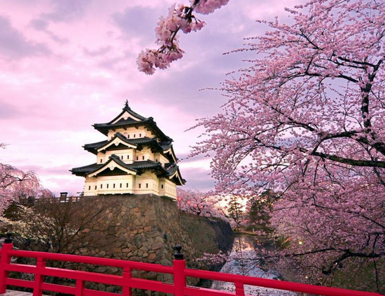 【日本樱花】2023日本樱花什么时候开，2023日本樱花节盘点 