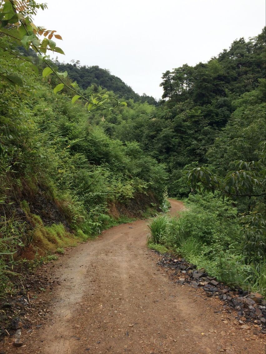 世外桃源、淳朴农家--宣城宁国飞峡谷探秘游记