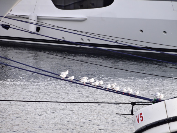 海洋之心马耳他~~(可以用脚丈量的国家),马耳