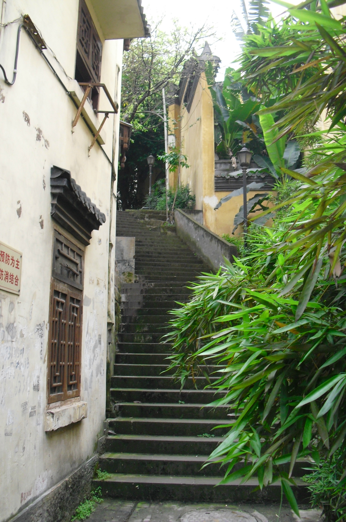 学田湾人口_学田湾市场猪肉(3)