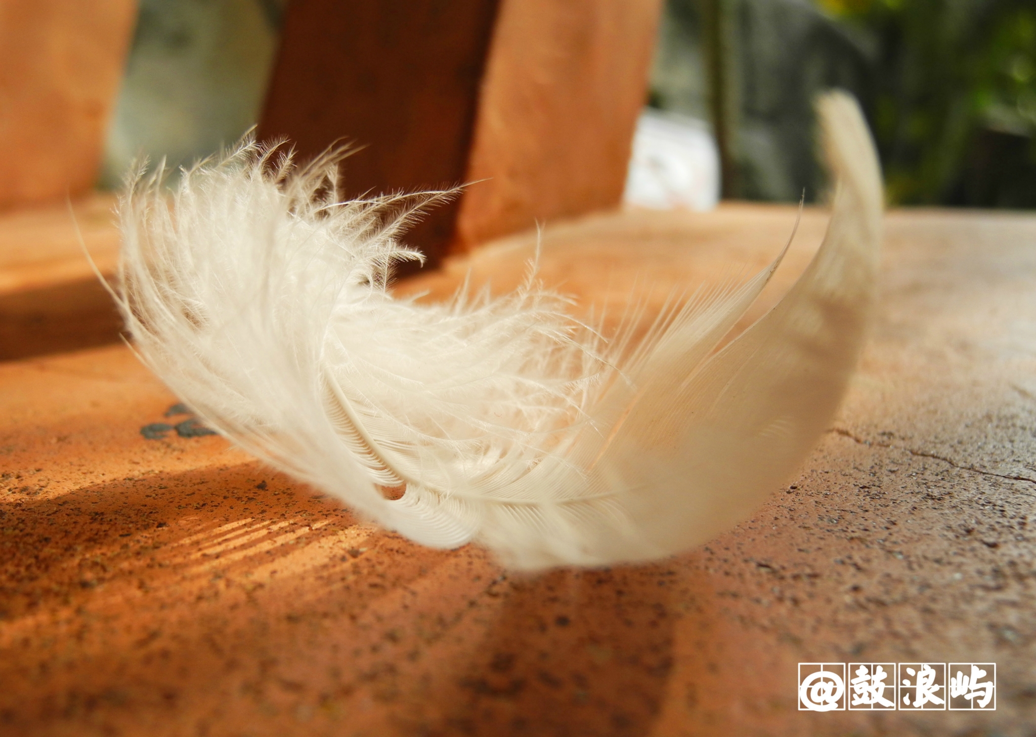 wKgB4lMtKlqAaVk_ABl7kszvIWI58.jpeg?imageView2%2F2%2Fw%2F600%2Fh%2F600%2Fq%2F90