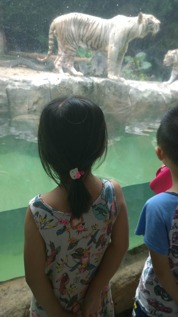 妞妞游玩攻略,妞妞游玩攻略