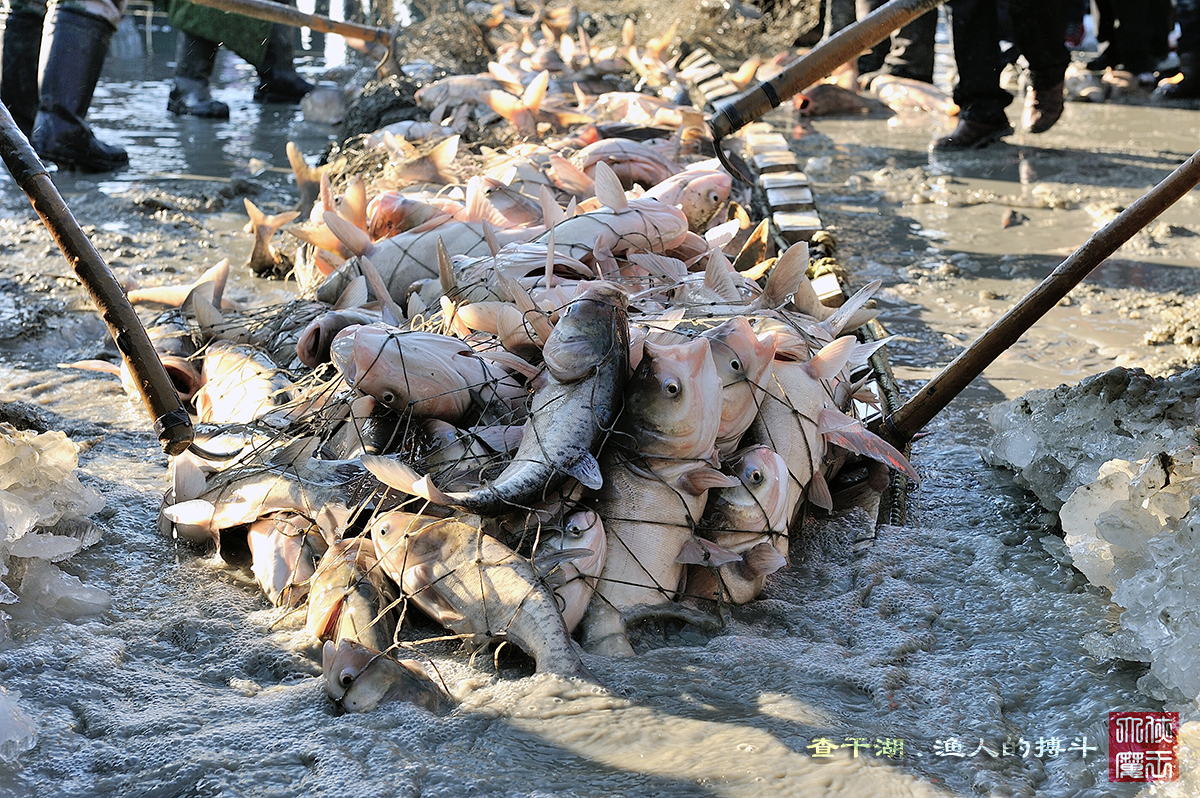 【时间】2020查干湖冬捕节什么时候，查干湖冬捕如何操作