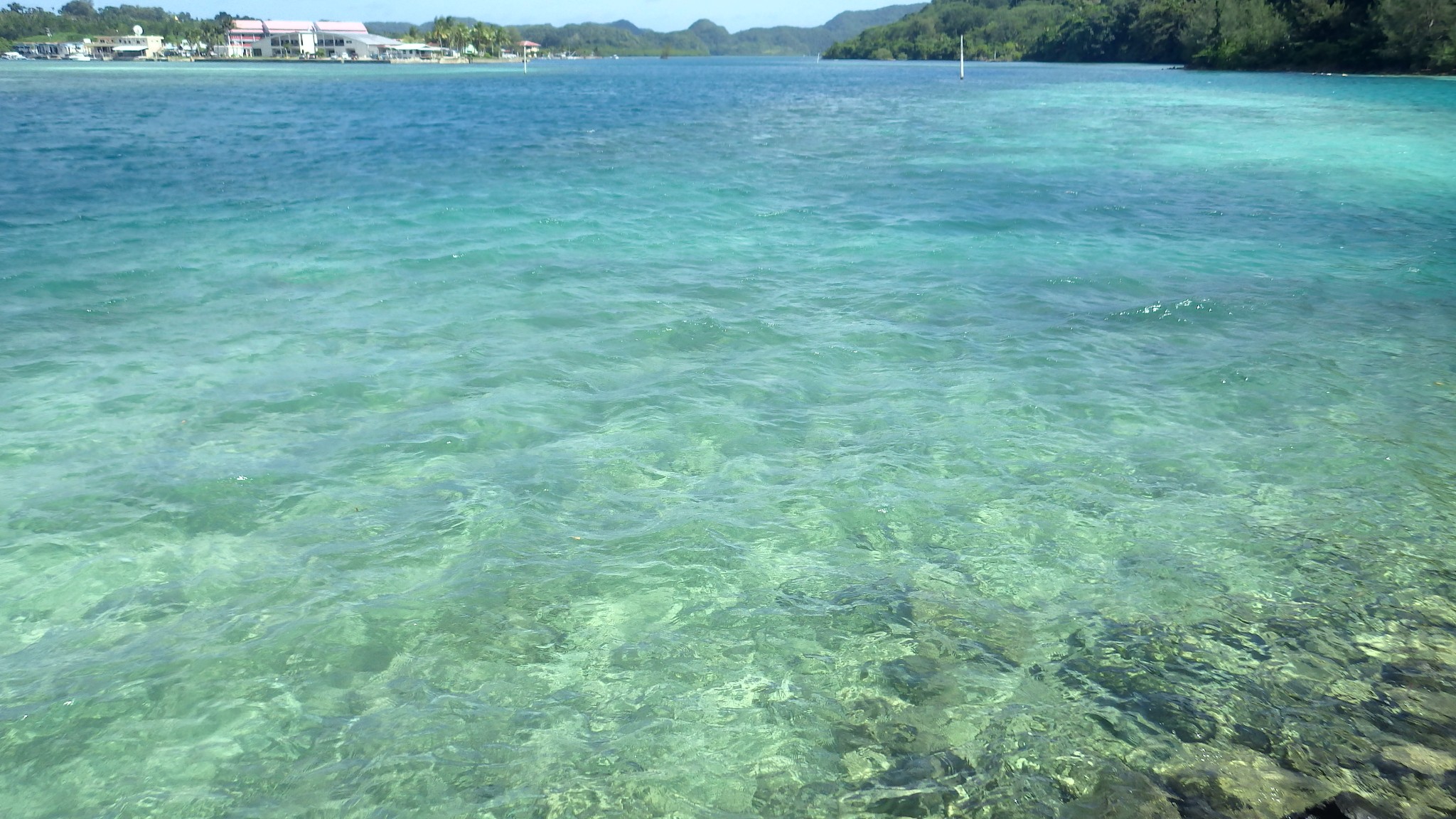 帕劳有多少人口_为什么帕劳是2015最美的海岛旅游地