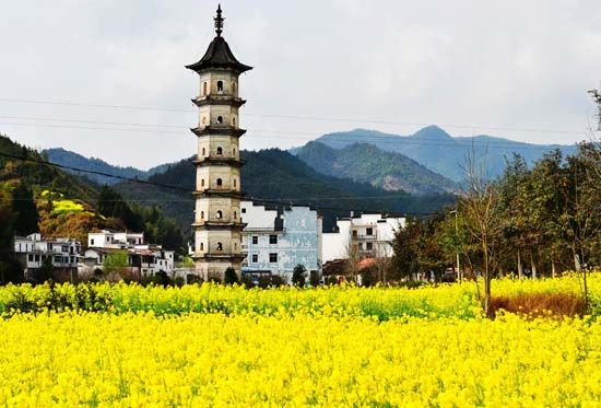 罗平县gdp_信宜玉都风情网 航拍云南罗平万顷油菜花怒放 中国式花海美哭驴友中国经济网曲靖2月13日讯 2月6日,云南省曲靖市(2)