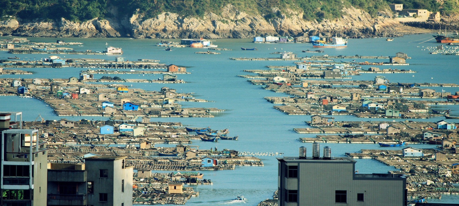 福州五区八县人口_定了 19日, 颜值担当 福建再成主角 看生态德化,来增光添彩