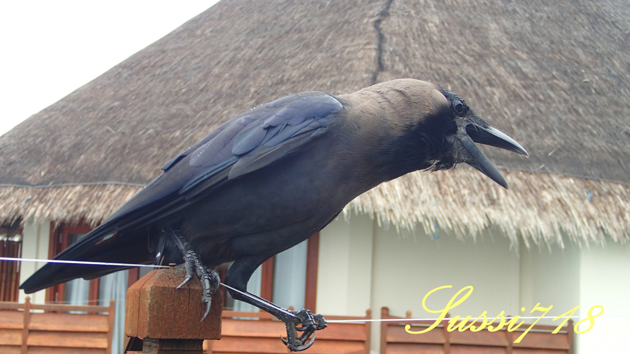 wKgB6lPCMWuANCs3AAZnZXBJLWo28.jpeg?imageView2%2F2%2Fw%2F600%2Fh%2F600%2Fq%2F90