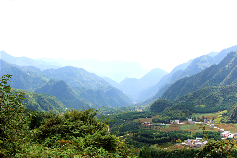 大瓦山攻略,大瓦山门票_地址,大瓦山景点攻略 - 马蜂窝