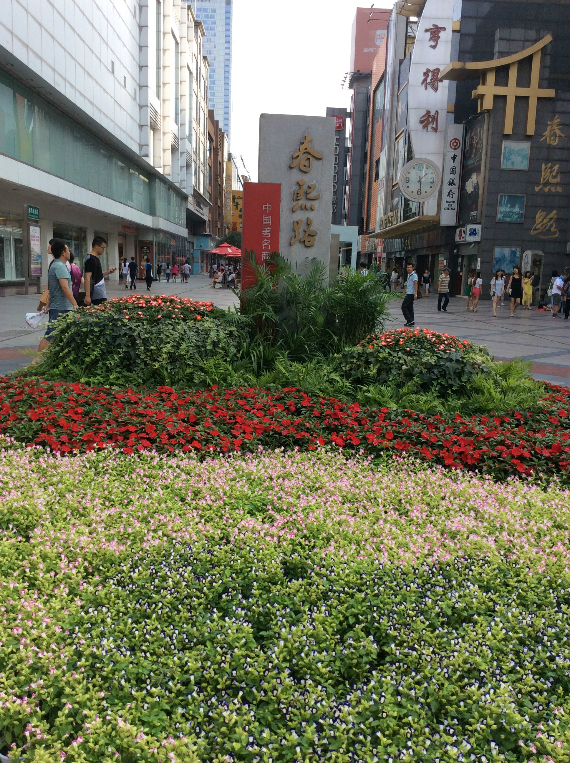 7月辽宁出发火车到成都,青城山后山,九寨沟自助游