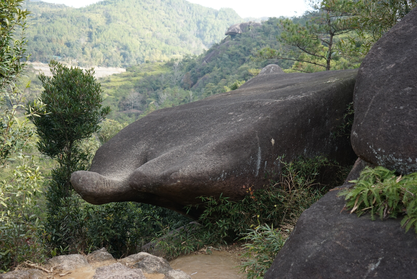 苍南石聚堂景区图片60,苍南旅游景点,风景名胜 - 马