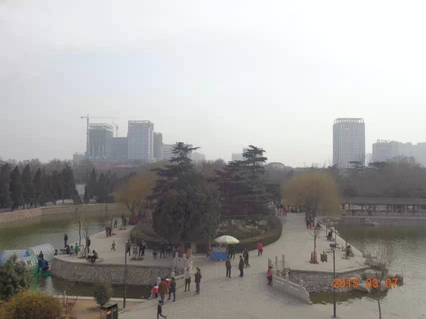 成语什么志成城
