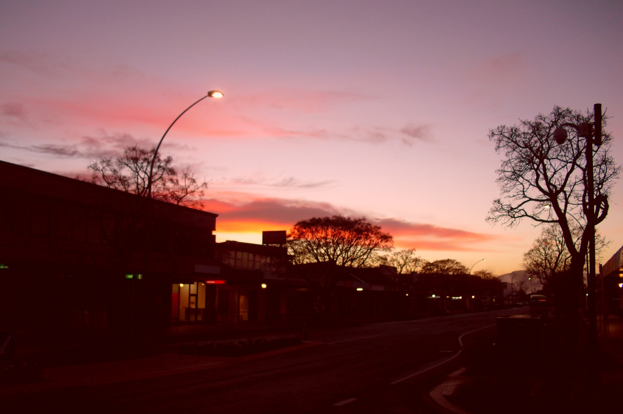 人在这个红森林里面种植了170多种不同的树木,希望能够验证出哪里种树能够最适应