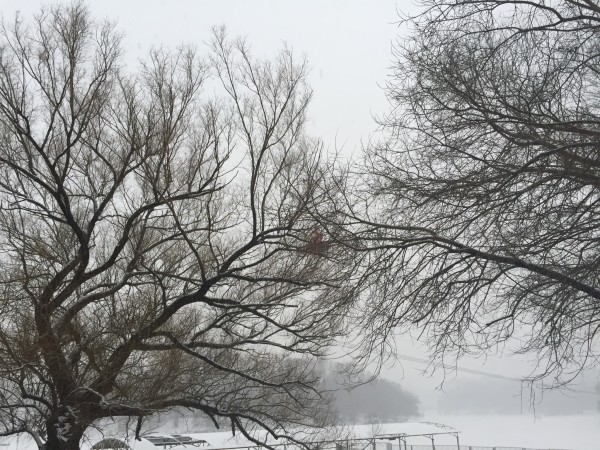 过年哪里会下雪 wKgB6lTv5qSAYuFFABXUGYteNgE28.jpeg?imageView2%2F2%2Fw%2F600%2Fh%2F600%2Fq%2F90
