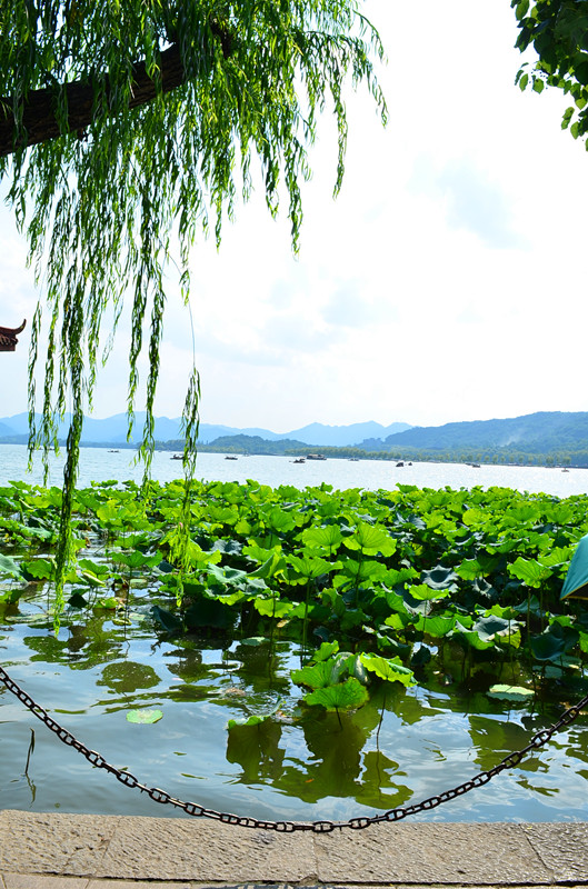 杭州西湖风景名胜区      