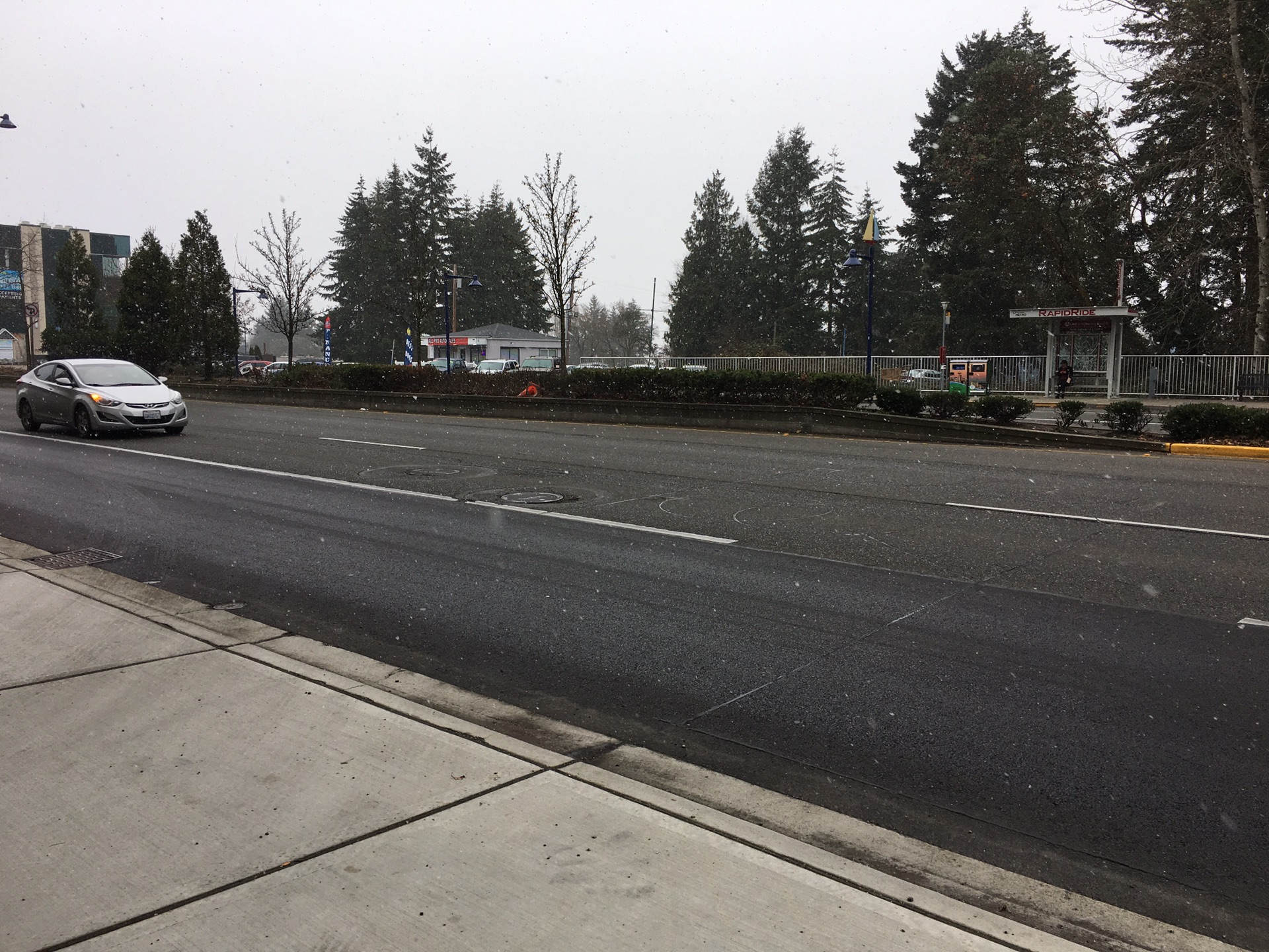 美国西雅图_美国西雅图人均年收入(2)