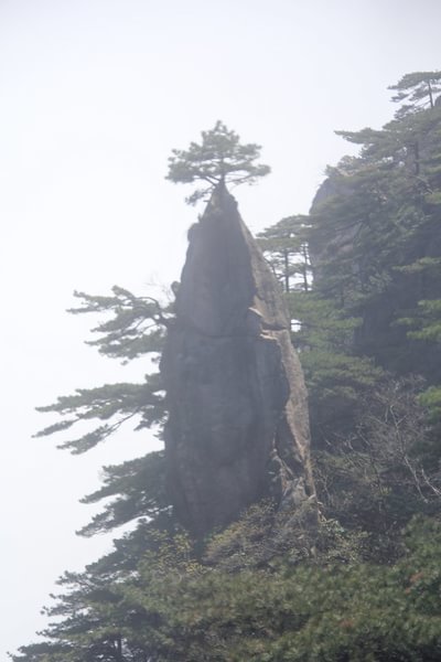 本人三次游黄山的经验总结(纯攻略),黄山自助游攻略