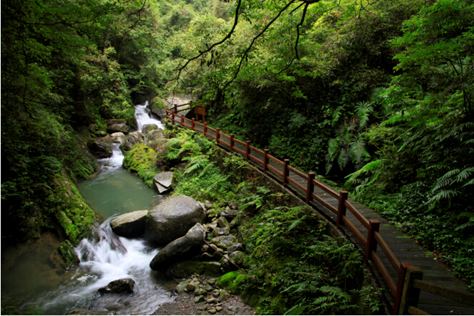 旅游动态         碧潭幽谷是金佛山西坡景区的著名景点,是洗肺,康体
