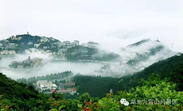 九宫山 入山处半山腰的狮子峰,傲立着一棵姿态挺拔的青松.