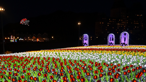 日本 长崎豪斯登堡一日入场劵 (一票畅玩园区9