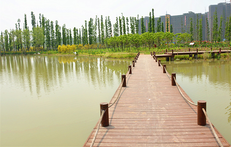 春末篇新都香城湿地公园