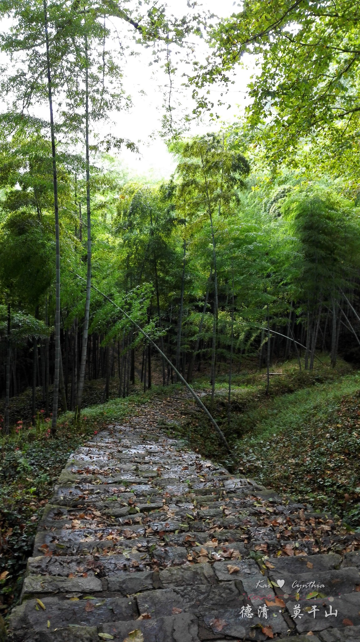 德清·莫干山自由行