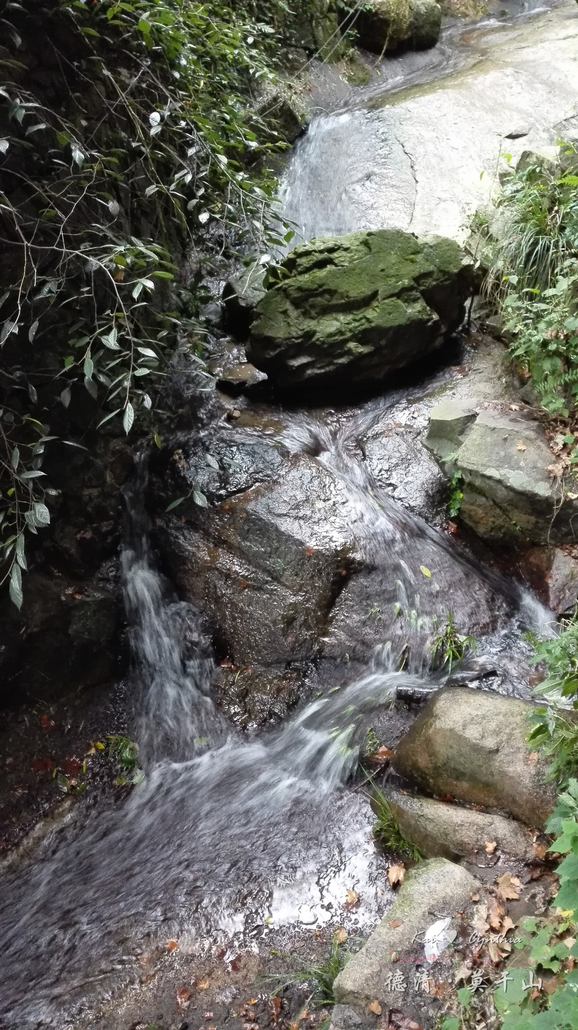 德清·莫干山自由行,莫干山旅游攻略 - 马蜂窝