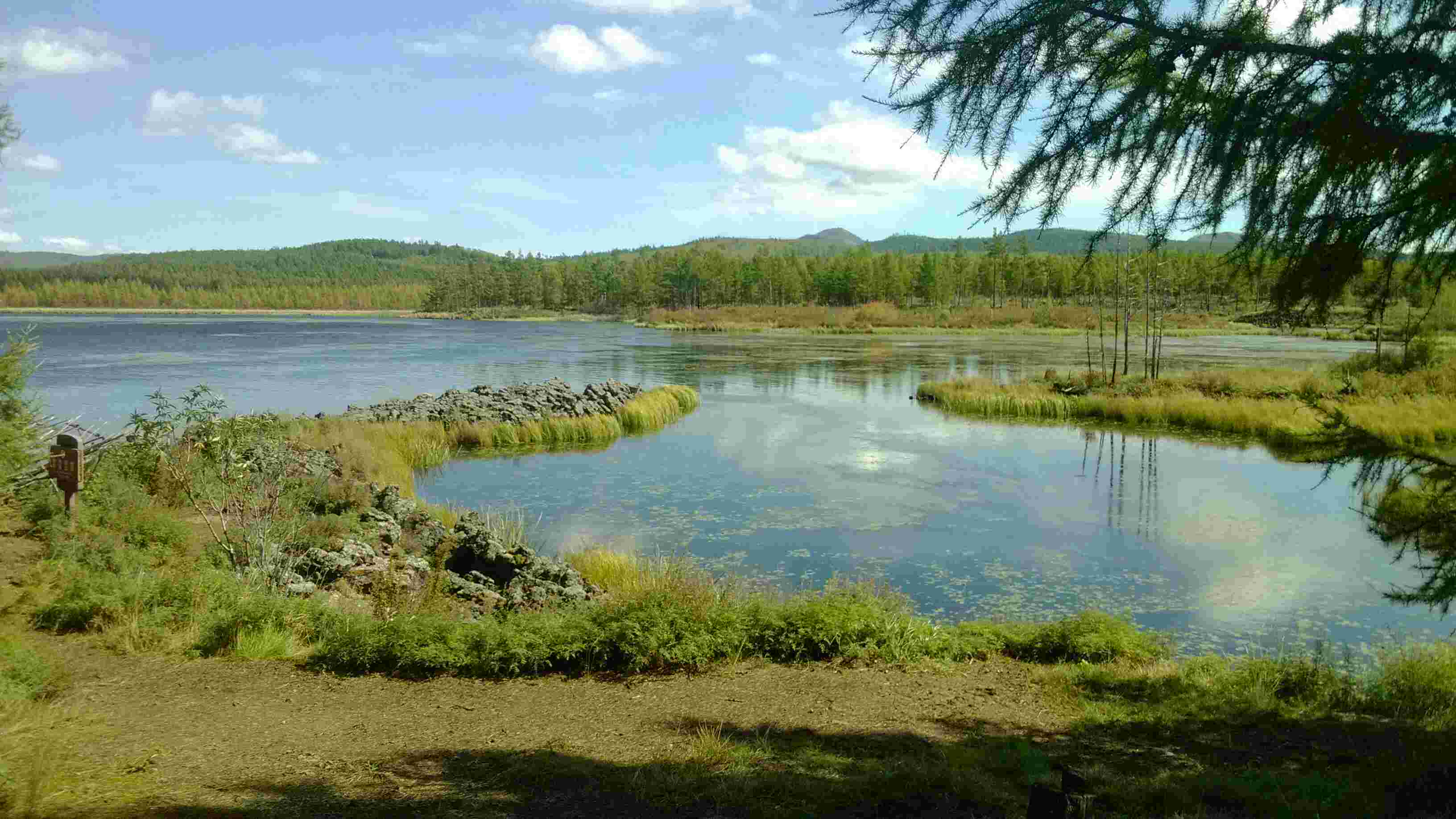 鹿鸣湖点评-阿尔山旅游攻略-蚂蜂窝